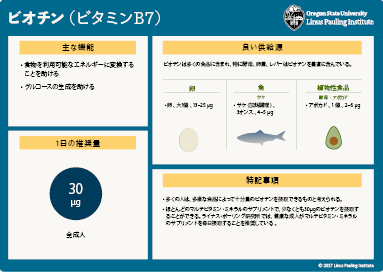 Japanese biotin flashcard thumbnail