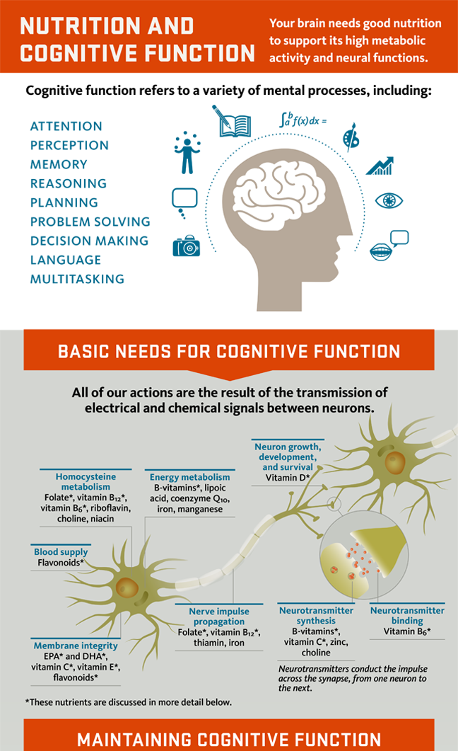 cognition infographic thumbnail