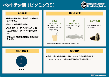 Japanese pantothenic acid flashcard thumbnail