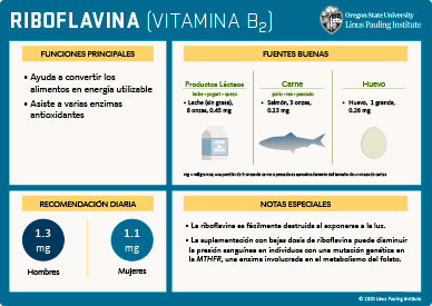 riboflavina flashcard thumbnail