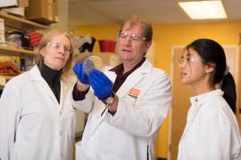 Dr. Gombart in his laboratory