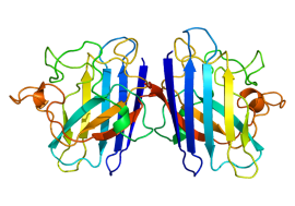 Copper, Zinc Superoxide Dismutase