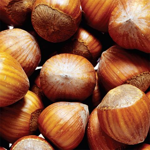 Oregon hazelnuts - a source of vitamin E?