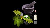 Botanical dietary supplements come from plant sources