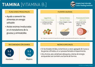 tiamina flashcard thumbnail